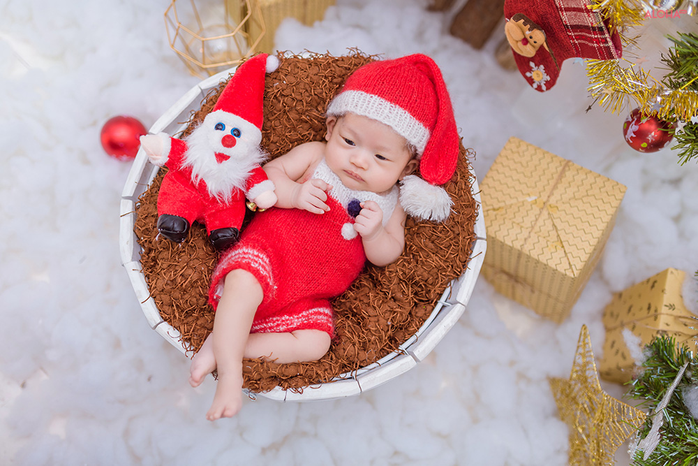 album ảnh newborn 15